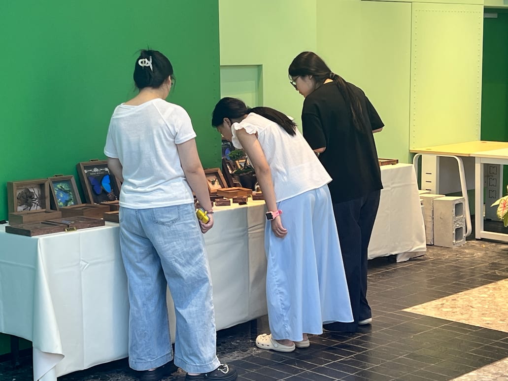 顾客参观标本